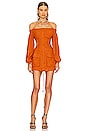 view 1 of 5 Lily Mini Dress in Toffee Brown