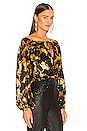 view 3 of 6 Celeste Blouse in Black & Gold Cats