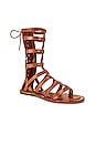 view 2 of 6 SANDALES GLADIATOR in Tan