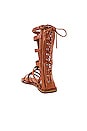 view 3 of 6 SANDALES GLADIATOR in Tan