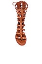 view 4 of 6 SANDALES GLADIATOR in Tan