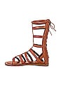view 5 of 6 SANDALES GLADIATOR in Tan