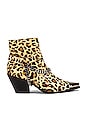 view 1 of 5 GIGI 부티 in Tan Leopard