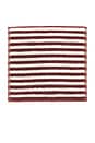 view 3 of 4 Caterpillar Stripe Washcloth in Maroon & Lime
