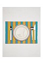 view 7 of 10 Stripe Placemats Set Of 4 in 