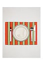 view 8 of 10 Stripe Placemats Set Of 4 in 