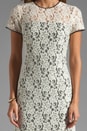 view 5 of 6 Barbie Dress in Ivory/Black in Ivory & Black