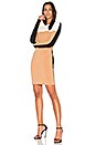 view 1 of 3 Knit Colorblock Dress in Camel & Ivory
