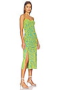 view 2 of 3 Lester Dress in Bella Palm Signature Turquoise