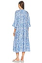 view 3 of 3 Fortina Dress in April Tiger Signature Blue