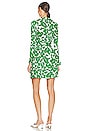 view 3 of 3 Didi Dress in Flora Nocturna Green