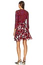 view 3 of 3 Irina Dress in Passion Petals/magic Dot Red