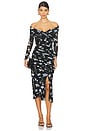 view 1 of 3 Ganesa Dress in Final Act Floral Black