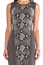 view 5 of 5 Franca Dress in Light Grey Combo