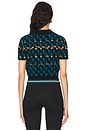 view 3 of 4 Lucine Sweater in Vintage Stripe Teal