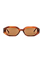 view 1 of 3 Rome Sunglasses in Tortoise