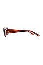 view 3 of 3 Rome Sunglasses in Tortoise