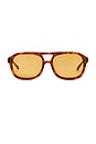 view 1 of 3 GAFAS DE SOL CAPRI in Light Tortoise