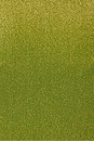 view 5 of 5 Wade Bikini Bottom in Olive