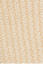 view 6 of 6 Neo Bikini Bottom in Oat Milk