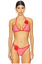 view 1 of 5 Nash Bikini Top in Valentine