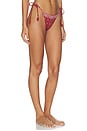 view 2 of 5 Eadie Bikini Bottom in Merlot