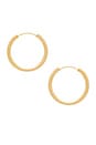 view 1 of 2 Medium Holly Hoops in Yellow Gold