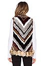view 4 of 4 Tanya Coyote and Rabbit Fur Vest in Natural Chevron Multi
