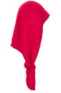 view 5 of 5 Liezel Kerchief Hood in Passion
