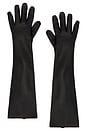 view 1 of 3 Leather Gloves in Black