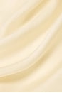 view 5 of 5 x Coco Nico Silk Maxi Dress in Pale Yellow