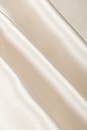 view 4 of 4 Roux Silk Mini Dress in Blush