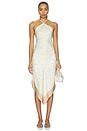 view 1 of 4 VESTIDO ELISSA in Ivory Dot