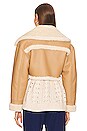 view 3 of 4 Aeric Cropped Jacket in Brown&Ivory