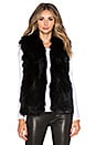 view 1 of 5 Fox Fur Joan Vest in Black