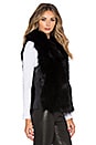 view 3 of 5 Fox Fur Joan Vest in Black