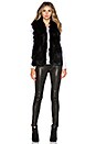 view 5 of 5 Fox Fur Joan Vest in Black