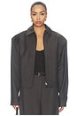 view 2 of 6 Dima Bomber Jacket in Hickory