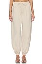 view 1 of 7 Leny Parachute Pant in Feather Grey
