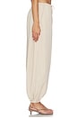 view 3 of 7 Leny Parachute Pant in Feather Grey