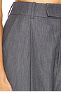view 6 of 6 Rinah Pant in Grey