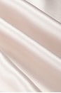 view 5 of 5 Nico Silk Tank in Blush