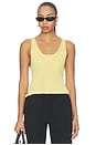 view 1 of 5 x Blake Evin Auden Knit Tank in Limon