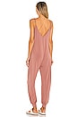 view 3 of 4 Finley Jumpsuit in Hazelnut