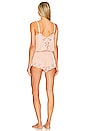view 5 of 6 Naya Teddy in Rose Cloud