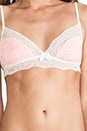 view 4 of 4 Hannah Bralet in Pink Glow