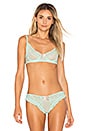 view 1 of 4 Anouk Underwire Bra in Peppermint