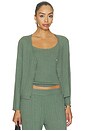 view 1 of 6 GILET MAILLE POINTELLE POINTELLE CARDIGAN in Desert Sage