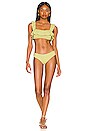 view 4 of 4 Pique Coco Bikini Bottom in Pear