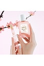 view 7 of 6 Vanilla Rice Eau De Parfum in 